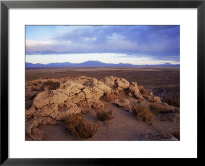 Landscape, Bolivian Altiplano, Bolivia, South America by Colin Brynn Pricing Limited Edition Print image