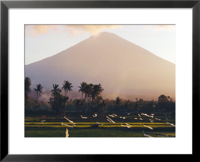 Volcanic Mount Gunung Batur, Bali, Indonesia by J P De Manne Pricing Limited Edition Print image