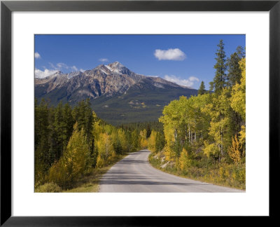 Autumn Colours Lining The Road, Jasper National Park, British Columbia, Canada by Gavin Hellier Pricing Limited Edition Print image