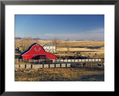 Red Barn, Pincher Creek, Alberta, Canada by Walter Bibikow Pricing Limited Edition Print image