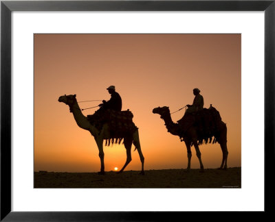 Camels Near The Pyramids At Giza, Cairo, Egypt by Doug Pearson Pricing Limited Edition Print image