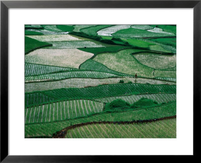 Landscape Of Rice Paddies,Guizhou, China by Keren Su Pricing Limited Edition Print image