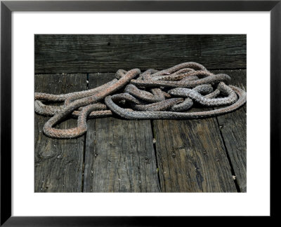 Nautical Ropes On A Dock by Todd Gipstein Pricing Limited Edition Print image
