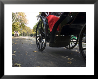 Low Angle View Of Horse-Drawn Carriages In Central Park by Stacy Gold Pricing Limited Edition Print image