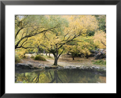 Pond And Autumn Trees In Central Park, New York by Stacy Gold Pricing Limited Edition Print image