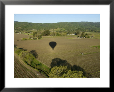 Napa Valley, Usa: Hot Air Balloon Flying Over Vineyards, California by Brimberg & Coulson Pricing Limited Edition Print image