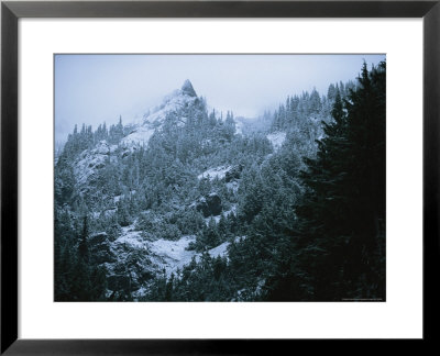 Twilight View Of Olympic Mountains And Evergreens In Snowy Landscape by Melissa Farlow Pricing Limited Edition Print image
