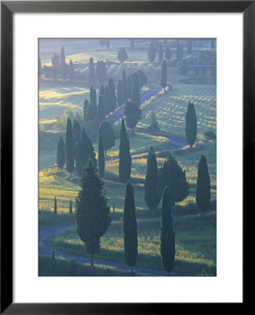 Winding Road, Monticchiello, Tuscany, Italy by Doug Pearson Pricing Limited Edition Print image