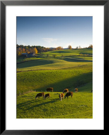 Jenne Farm, Nr Woodstock, Vermont, Usa by Alan Copson Pricing Limited Edition Print image