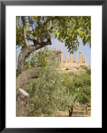 Olive And Almond Trees And The Temple Of Juno, Valley Of The Temples, Agrigento, Sicily, Italy by Olivieri Oliviero Pricing Limited Edition Print image