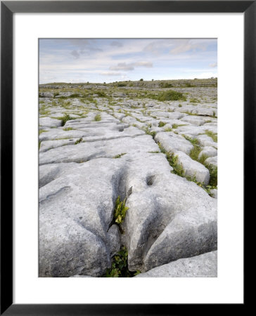 Limestone Pavement, The Burren, County Clare, Munster, Republic Of Ireland by Gary Cook Pricing Limited Edition Print image