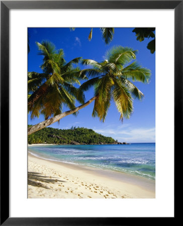 Beach, Anse Takamaka, Mahe Island, Seychelles by Robert Harding Pricing Limited Edition Print image
