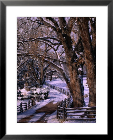 Country Road Leading To Nambe Ranch In Early Winter, New Mexico, Usa by Ralph Lee Hopkins Pricing Limited Edition Print image