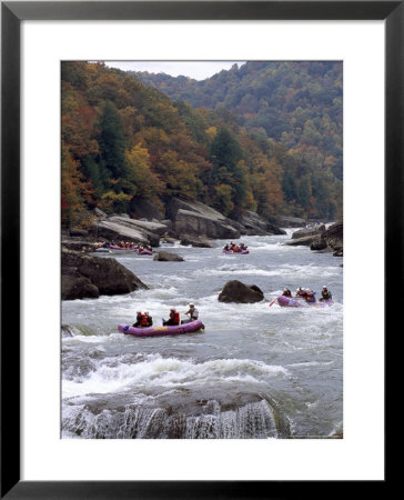 Rafters Riding The Rock Strewn Gauley River Through A Mountain Gorge by Raymond Gehman Pricing Limited Edition Print image