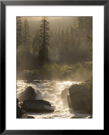 North Fork Of The Stanislaus River Near Dorrington At 6,000 Feet by Phil Schermeister Pricing Limited Edition Print image