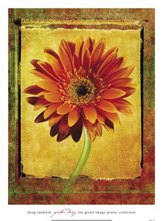Gerber Daisy by Doug Landreth Pricing Limited Edition Print image
