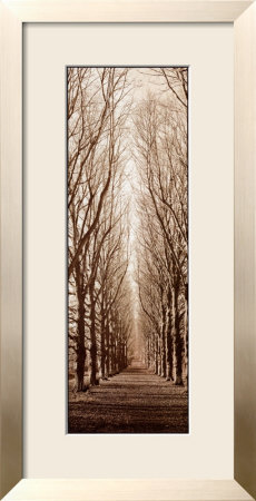 Poplar Trees by Alan Blaustein Pricing Limited Edition Print image