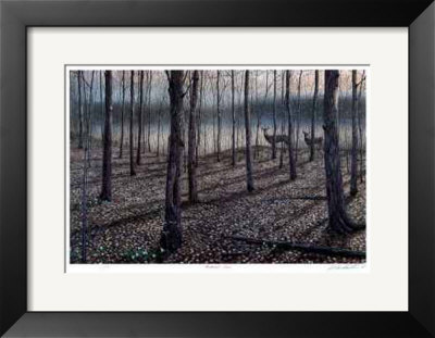 Hardwood Trail by J. Vanderbrink Pricing Limited Edition Print image