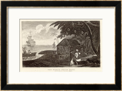 Bread Fruit Taken Onto H.M.S. Bounty By Captain Bligh by Lester Pricing Limited Edition Print image