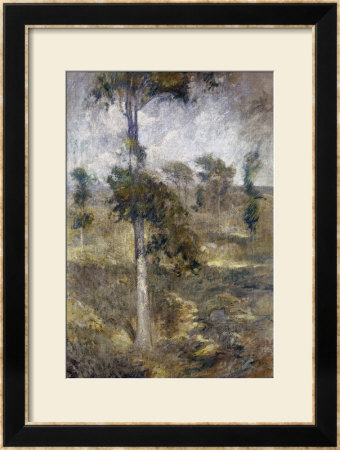 Tulip Tree, Greenwich by John Henry Twachtman Pricing Limited Edition Print image