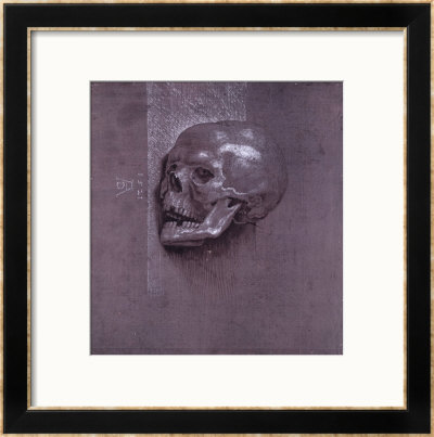 Study Of A Human Skull, 1521 by Albrecht Dürer Pricing Limited Edition Print image