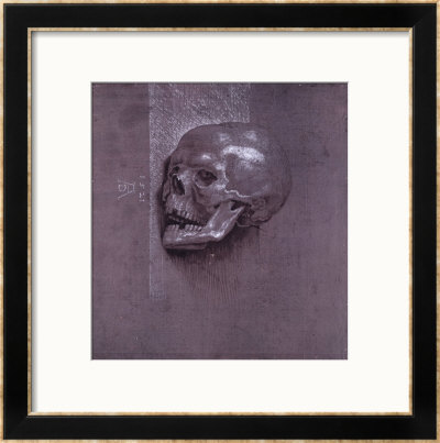 Study Of A Human Skull, 1521 by Albrecht Durer Pricing Limited Edition Print image