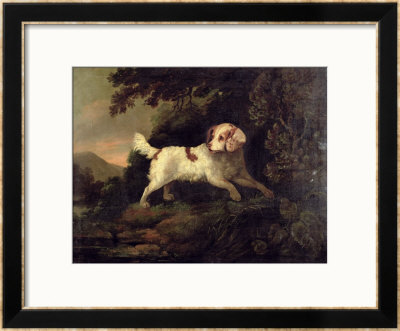 Study Of Clumber Spaniel In Wooded River Landscape by Edward Cooper Pricing Limited Edition Print image
