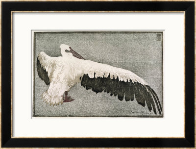 Pelican With Outspread Wings by Walther Klemm Pricing Limited Edition Print image
