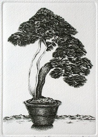 Bonzai V by Marc Jurt Pricing Limited Edition Print image