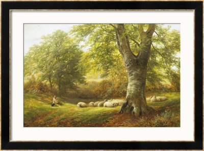 Sunshine In The Country by George Turner Pricing Limited Edition Print image