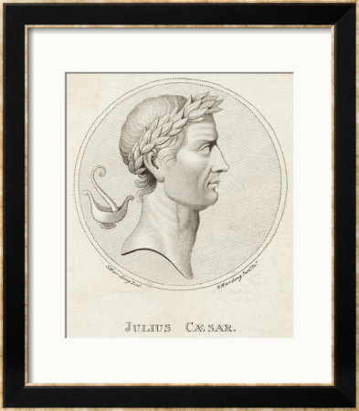 Gaius Julius Caesar Roman Emperor by Sophie Harding Pricing Limited Edition Print image