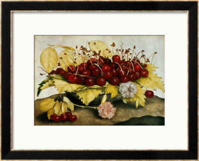 Cherries And Carnations by Giovanna Garzoni Pricing Limited Edition Print image