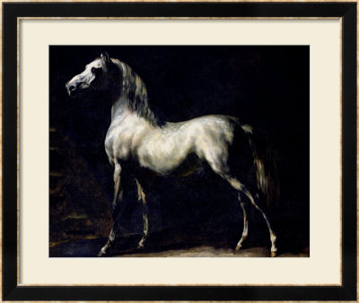 Study Of A Dapple Grey by Théodore Géricault Pricing Limited Edition Print image