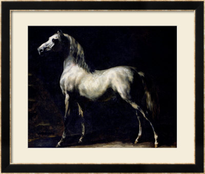 Study Of A Dapple Grey by Theodore Gericault Pricing Limited Edition Print image