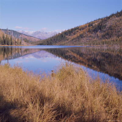 Mckinley Park, Alaska, Usa by Jon Hart Gardey Pricing Limited Edition Print image