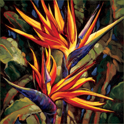 Bird Of Paradise by Dana Miller Pricing Limited Edition Print image
