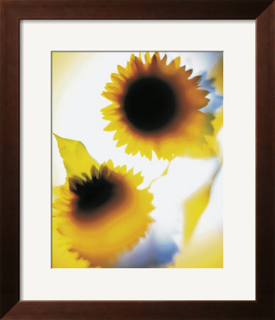Transparente Blüten I by Joern Zolondek Pricing Limited Edition Print image