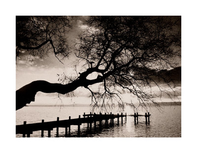 Silhouette by Harald Thiessen Pricing Limited Edition Print image