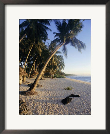 Palm Trees And Beach At Sunset, Western Samoa, South Pacific Islands, Pacific by Maurice Joseph Pricing Limited Edition Print image