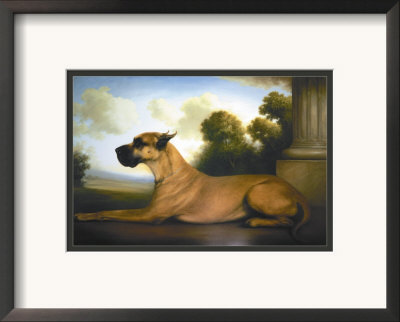 Recumbent Great Dane by Christine Merrill Pricing Limited Edition Print image