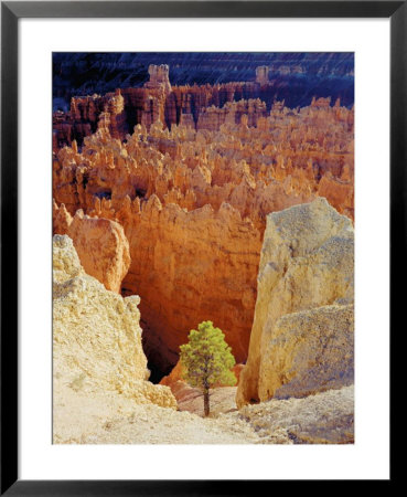 Determination by Rod Edwards Pricing Limited Edition Print image