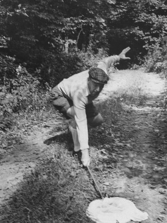 Vladimir Nabokov Catching A Butterfly by Carl Mydans Pricing Limited Edition Print image