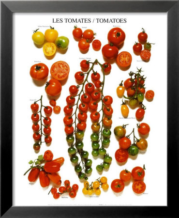 A Pile Of Fresh Tomatoes by Roger Phillips Pricing Limited Edition Print image