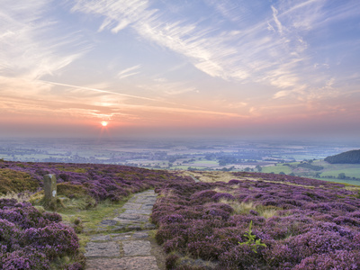 Sunset On The Cleveland Way Near Faceby, North Yorkshire Moors, Yorkshire, England, United Kingdom, by Lizzie Shepherd Pricing Limited Edition Print image