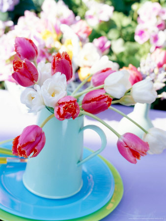 Red Fringed & White Tulipa In Enamel Pale Turquiose Jug On Blue & Yellow Plate by Linda Burgess Pricing Limited Edition Print image