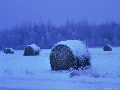 Hay Covered With Snow by Henryk T. Kaiser Pricing Limited Edition Print image