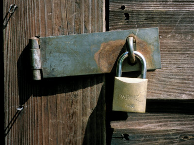 Crime Prevention, Locked Padlock On Tool Shed Door by David Askham Pricing Limited Edition Print image