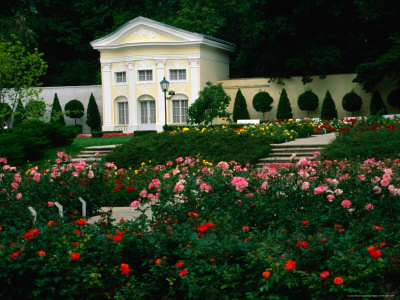Orangerie And Rosarium In Doblhoffpark, Baden, Austria by Diana Mayfield Pricing Limited Edition Print image