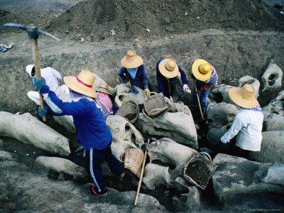 Women Working On Dinosaur Site With Bones Dating Back 140 Million Years, Kanchanaburi, Thailand by Bill Wassman Pricing Limited Edition Print image