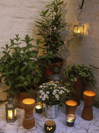 Candle Lights In Corner Plants In Pots Evening by Andrew Lord Pricing Limited Edition Print image